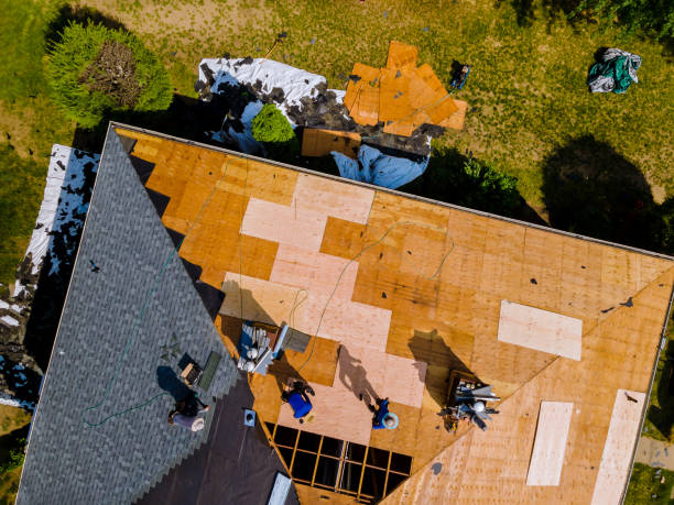 Best Roof Maintenance Services  in Leland, NC