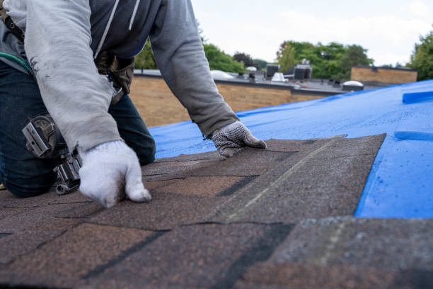 Best Flat Roof Repair Services  in Leland, NC